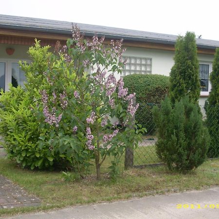 Ferienhaus Am Neuklostersee ภายนอก รูปภาพ
