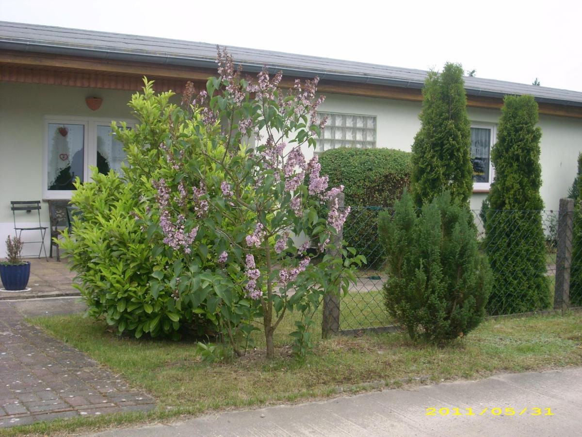 Ferienhaus Am Neuklostersee ภายนอก รูปภาพ